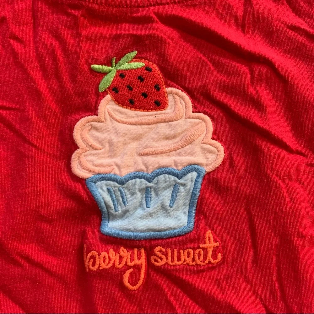 Gymboree shirt bundle 4 tops